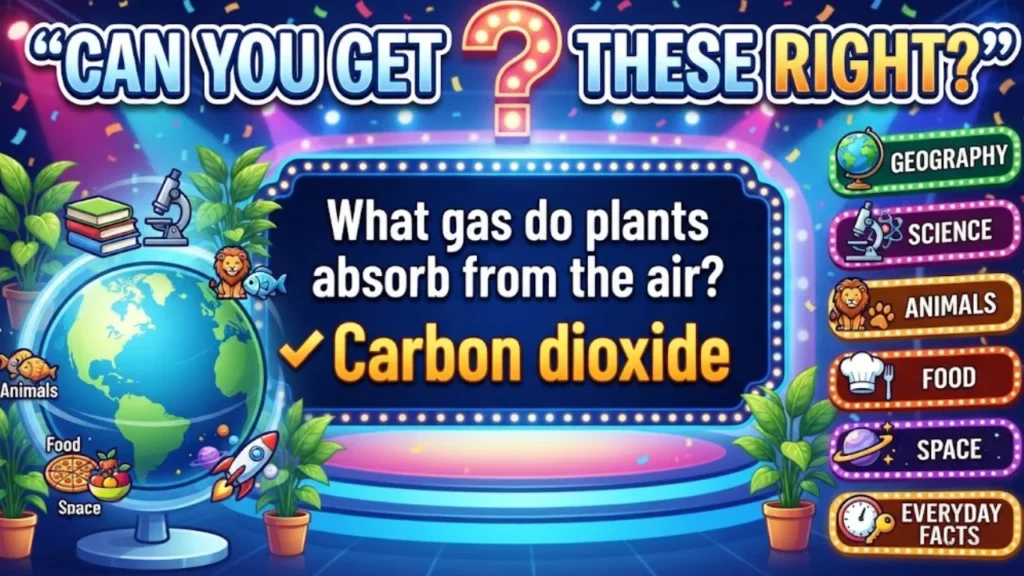 50 Easy General Knowledge Trivia Questions and Answers